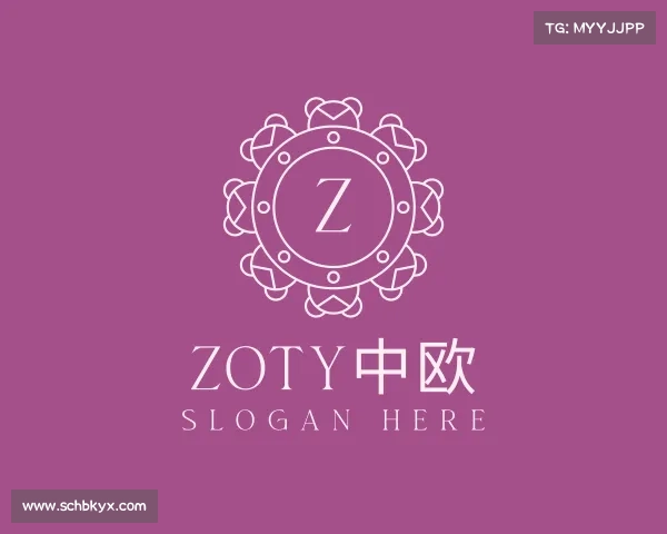 介绍&#x7a;&#x6f;&#x74;&#x79;&#x4e2d;&#x6b27;